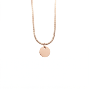 Collar Personalizado Mini Círculo Cadena Cola de Ratón Oro Rosa